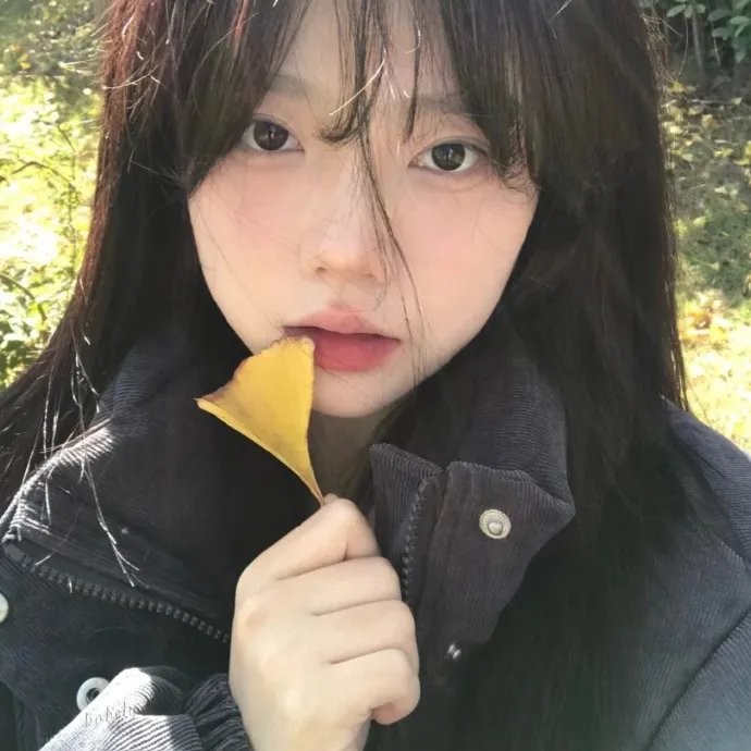 山花烂漫时